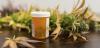 Arrest after alleged breach of medicinal cannabis licence