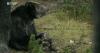 Red Lodge bear conflicts grow as wildlife feeding draws concern