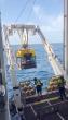 T&T’s deep sea reveals hidden ecosystems
