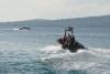 UNCLOS Conciliators Delay Chair Appointment in Cambodia-Thailand Maritime Dispute