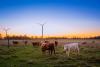 Yes, we need more wind power. In the meantime, let’s get the most from the projects we have