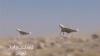 Islamic Resistance in Iraq vows to strike US bases if anti-Iran aggression soars