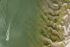 Danube water levels reach lowest in 30 years, hampering farming and shipping