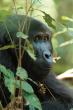 UK Named the World’s Most Well-Travelled Adventurers in Global David Attenborough Challenge