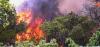 Heatwave and forest fires: Agriculture Ministry urges maximum vigilance