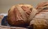 Archaeologists in Egypt find Homer's Iliad placed on a 1,600-year-old mummy