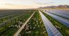 Chinese solar stocks rise as Beijing unveils consumption tax to force industry shakeout