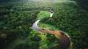 Amazon soy pact collapse could drive 1.4 million hectares of deforestation in Brazil by 2036, new study finds