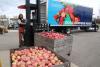 EGLE’s Food Waste Road Map provides Michigan communities with ways to advance food waste reduction, grants available