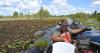 What World Heritage honor will and won’t mean for Georgia’s Okefenokee Swamp