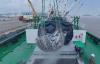 Chinese tuna firm Pingtai Rong plans USD 77 million Angola investment