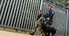 Attempted illegal border crossings from Belarus to Poland down over 98% this year
