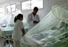 Paraguay Reports Stable Dengue Case Numbers And Low National Circulation