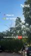 Portugal Weather Today (20 July): What to Expect Across the Country