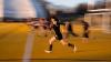 A trans ban came to rugby. Baltimore’s Ferals played on.
