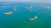 Tankers Fear Hormuz Transit as Iran Stops Vessels
