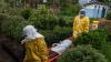 In DRC 37 people die from Ebola over past 24 hours