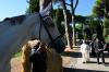 Pope Leo XIV to present Sustainability Medal named in his honor