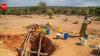 El Niño explained: How it can affect India’s monsoon, agriculture and economy