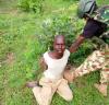 Troops Arrest Suspected Sudanese Terrorist Fighter, Ghanaian Illegal Immigrant in Borno