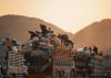 Nearly 2,000 people returned to Afghanistan in one day