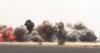 Houthis declare naval blockade against Saudi Arabia