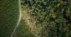 EU carbon farming rules welcomed by industry, but demand remains biggest hurdle
