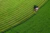 Healthier Eating Could Trigger a $630 Billion Farming Shake-Up