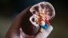 Portugal to record highs in heart and lung transplants in 2025