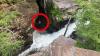 Rope Teams Pulled A New York Man And His Dog From A 24-foot Waterfall