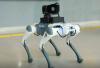 Kazakhstan Police Robot Dog Raises Privacy Questions