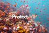 Fisherfolk, civil society, and environmental groups launch SONA on the state of the ocean Philippine fisheries, press government action on food security and coastal livelihoods