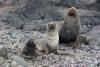 URI researcher contributing to new assessment of vulnerable Southern Ocean species