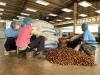 Hun Manet Says Government Will Act on SME Concerns