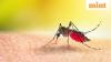 India gets first dengue vaccine QDENGA: Who can get the jab, how effective is it and what is the dosage? Explained