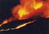 Gov. Polis, DOR announce tax relief for those impacted by Colorado wildfires 