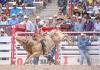 Tight turns and fast horses thrill Cheyenne Frontier Days fans