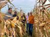 Ministry Of Agriculture And Fisheries Records Successful Corn Harvest Under Strategic Pilot Project