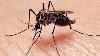 India approves its first dengue vaccine: Takeda’s QDENGA gets DCGI nod in major public health breakthrough