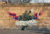 Faces erased: Why Yerevan must preserve the memory of its fallen heroes 