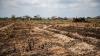 Costa Rica prepares for a drought with 70% less rainfall expected in the North Pacific