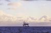 Energy firms reach export highs but remain cautious on market expansion: EIC report