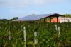 Kentucky moves to block large solar projects on agricultural land