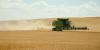 Farmer Losses Projected to Deepen Over the Next Year