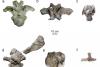 Scientists identify giant new dinosaur from a single bone found in Thailand