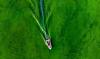 Toxic algae can travel through air, study finds