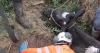 'They saved my cow' - Farmer's delight after animal freed from ditch by water workers