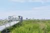 From Hammonasset To Stamford, Restored Salt Marshes Fight Erosion And Storm Surge
