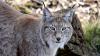 Army Corps Sued Again for Failing to Protect Waterways, Endangered Wildlife from Pipeline Construction
