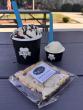National Ice Cream Month Stop #4: Why The STIL Has Become One of Idaho’s Sweetest Destinations